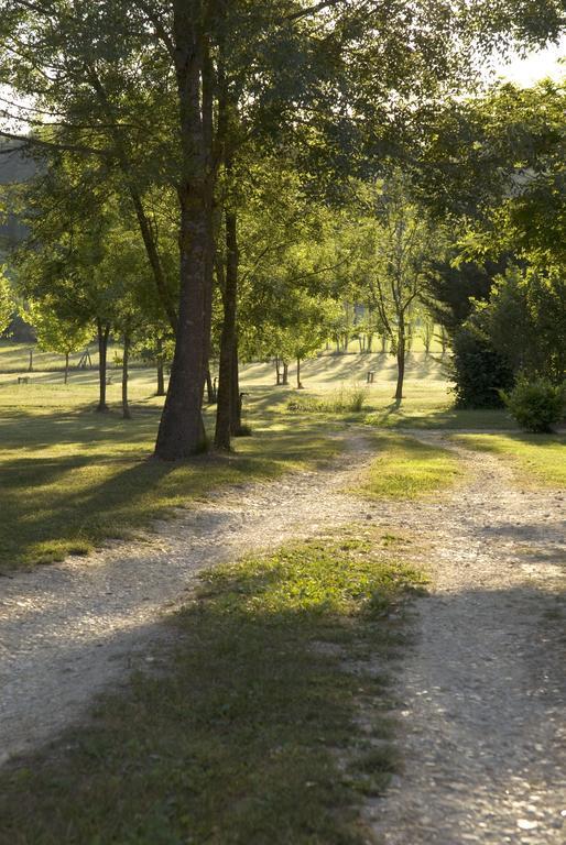 Les Chalets De Grazimis Condom Værelse billede